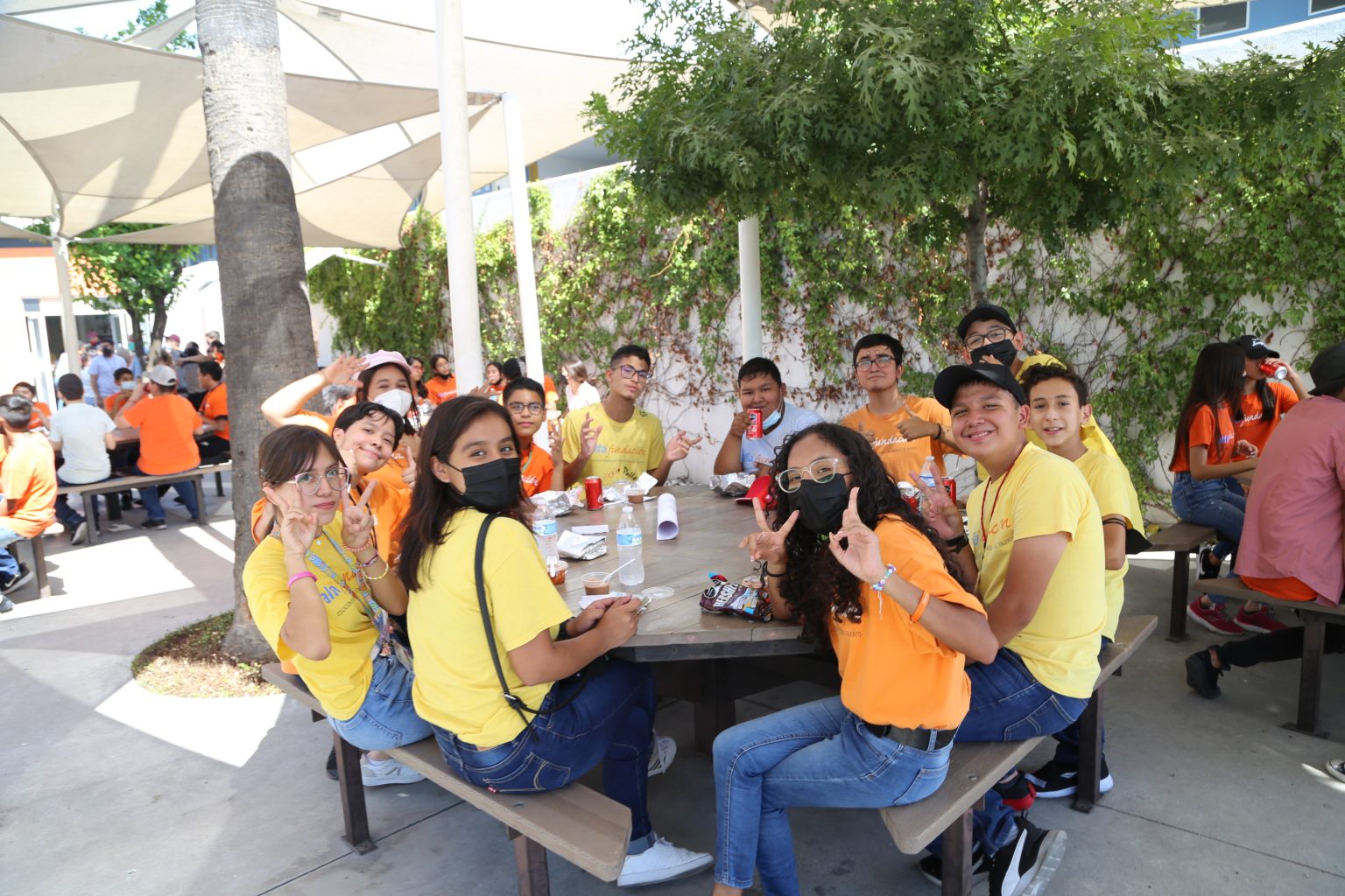 FOTOS – Alfa Fundación
